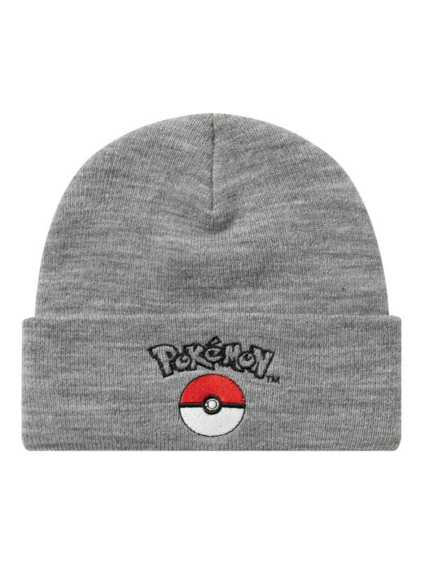 NI Pokemon lue Jiroko grey