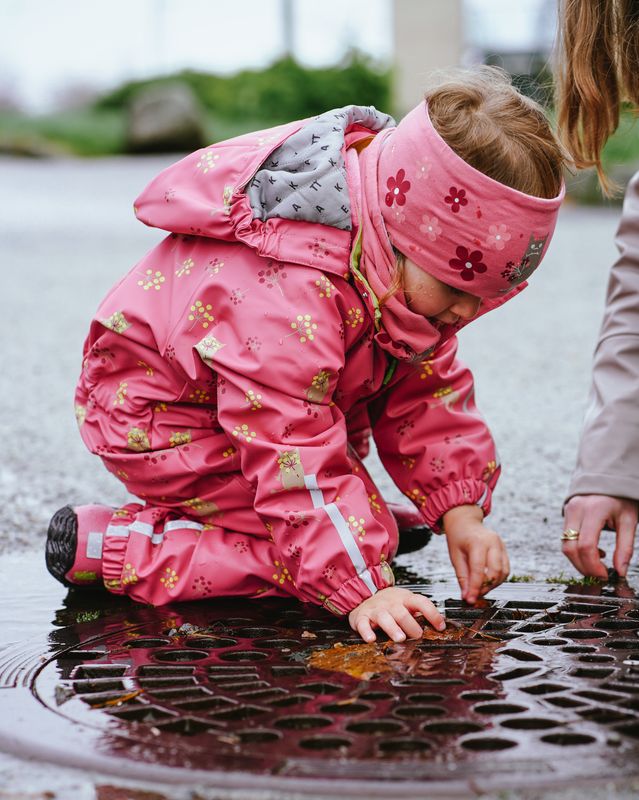 Kattnakken Heilårsregndress Hagl raudkløver Tolvmeterskogen