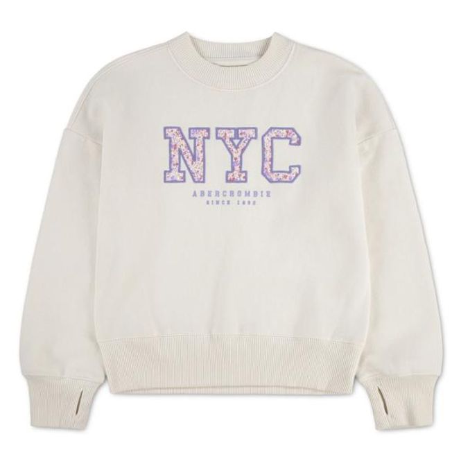 Hovedbilde Abercrombie Genser New York jet stream